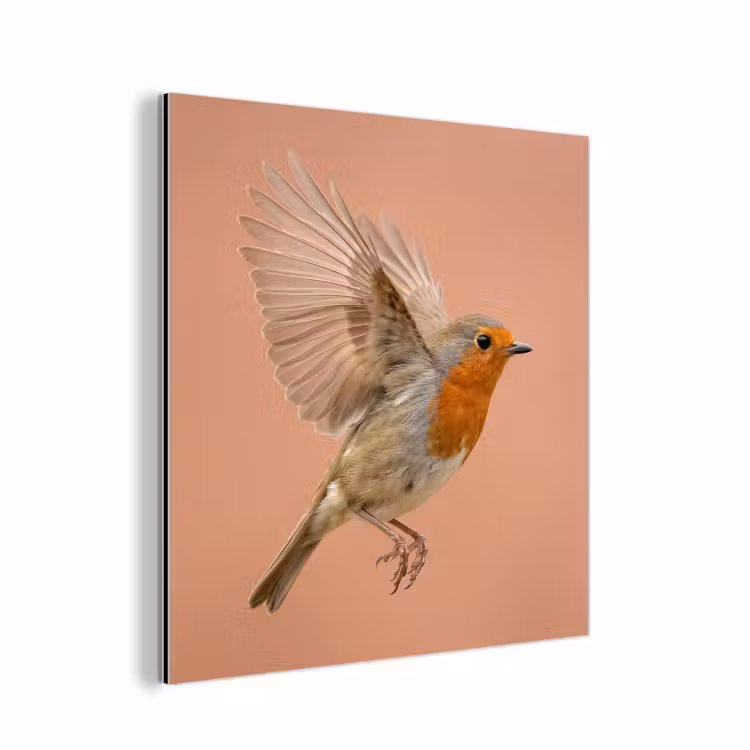 Roodborst - Natuur - Roze aluminium wit klein -3d