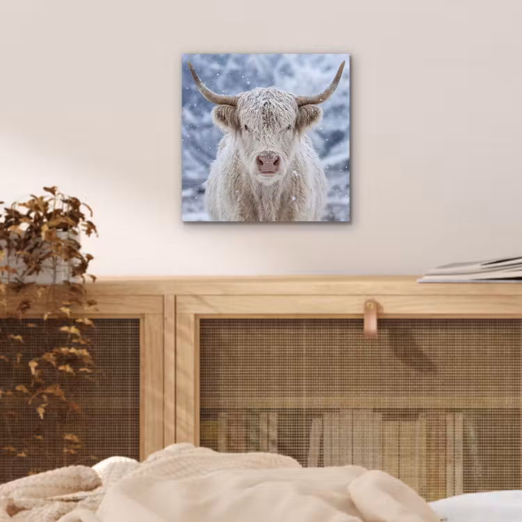 Schotse Hooglander - Sneeuw - Bergen - Winter aluminium wit klein -sfeer3