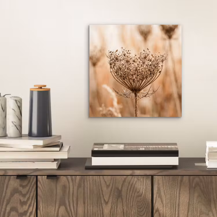 Schermbloem - Droogbloem - Winter - Beige - Minimalistisch aluminium wit klein -sfeer1