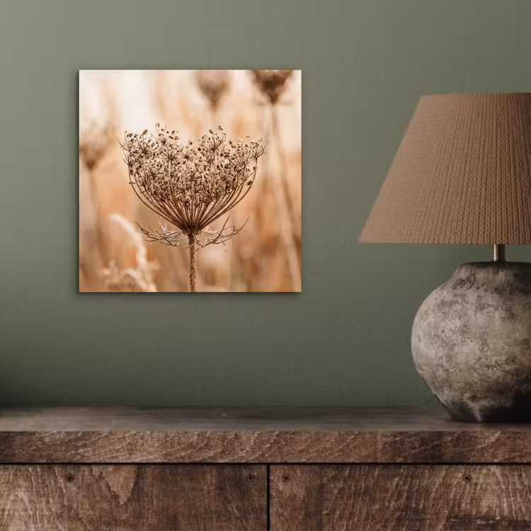 Schermbloem - Droogbloem - Winter - Beige - Minimalistisch aluminium wit klein -sfeer2