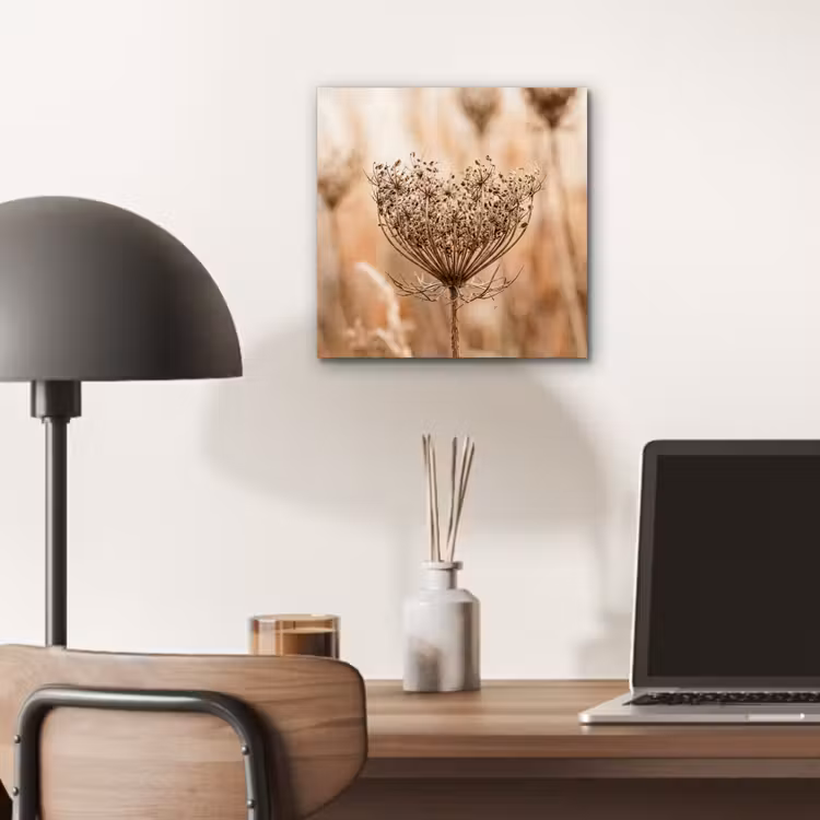 Schermbloem - Droogbloem - Winter - Beige - Minimalistisch aluminium wit klein -sfeer5