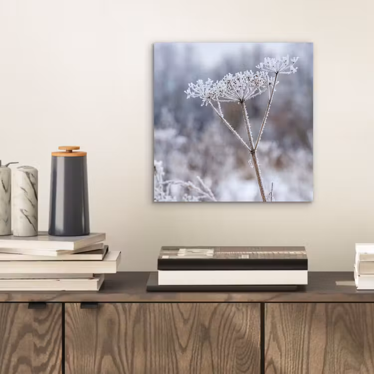 Schermbloem - Rijp - Kristallen - Winter - Delicaat aluminium wit klein -sfeer1