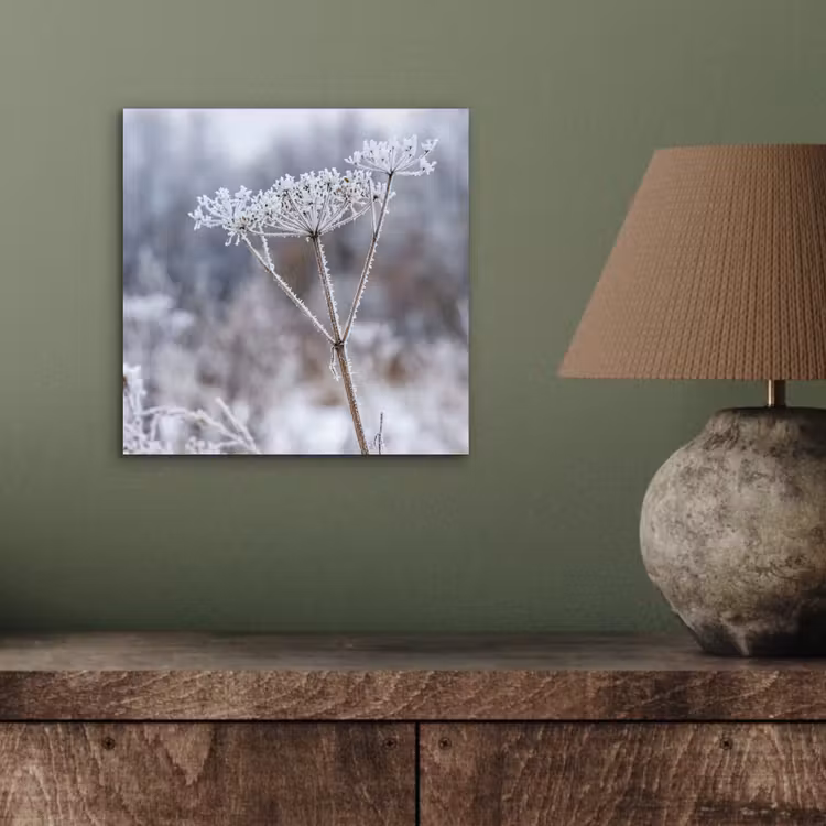 Schermbloem - Rijp - Kristallen - Winter - Delicaat aluminium wit klein -sfeer2