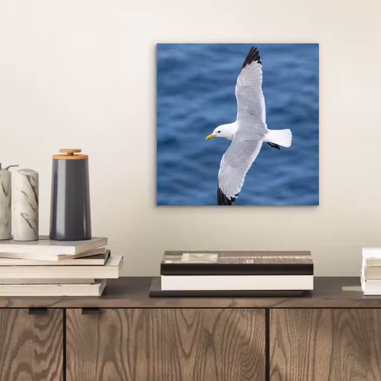 Zeemeeuw - Oceaan - Blauw aluminium wit klein -sfeer1
