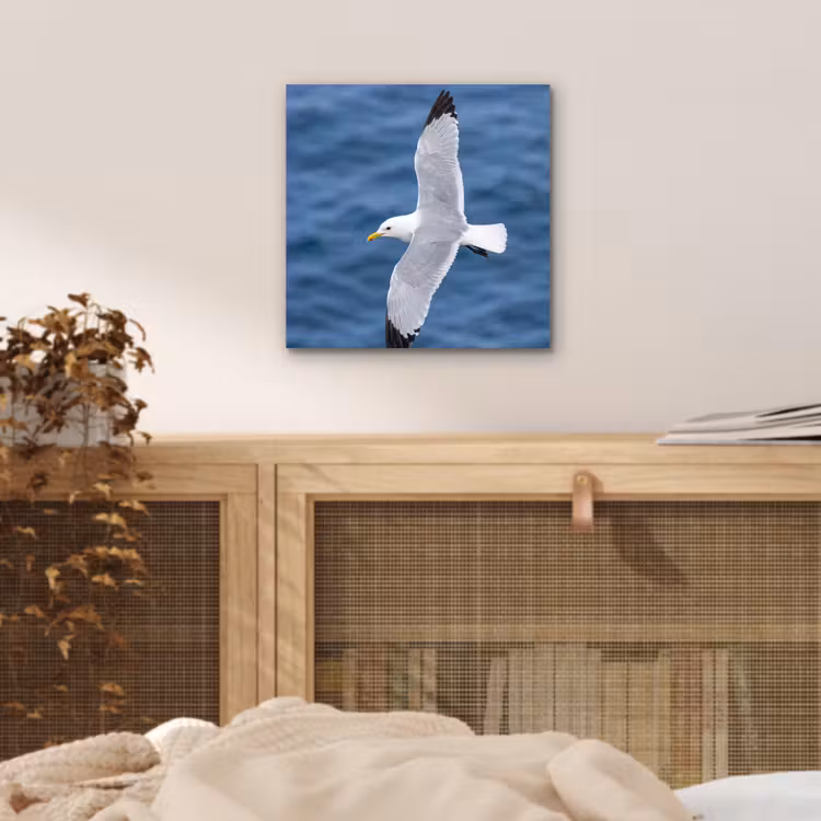 Zeemeeuw - Oceaan - Blauw aluminium wit klein -sfeer3