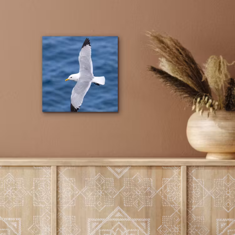 Zeemeeuw - Oceaan - Blauw aluminium wit klein -sfeer4