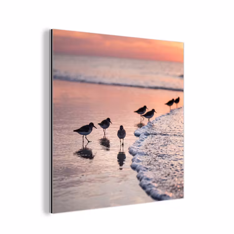 Meeuwen - Strand - Zee - Roze aluminium wit klein -3d