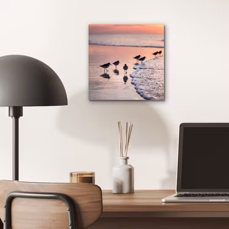 Meeuwen - Strand - Zee - Roze aluminium wit klein -sfeer5