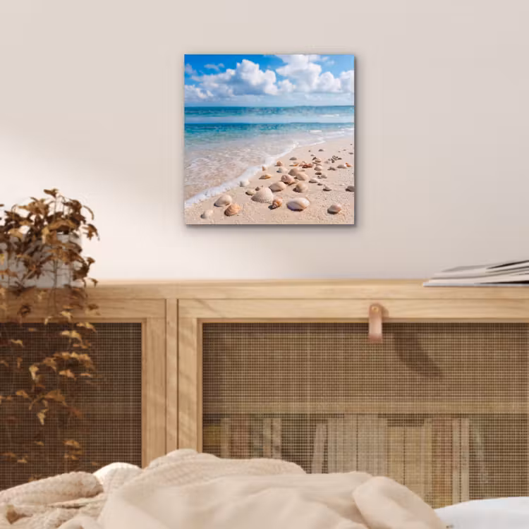 Schelpen - Strand - Natuur - Beige aluminium wit klein -sfeer3
