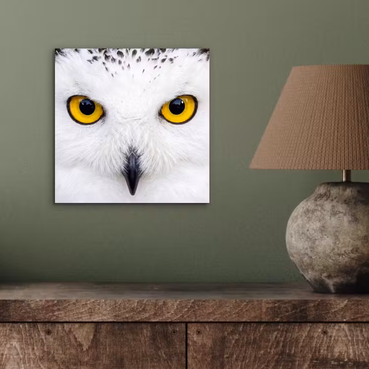 Sneeuwuil - Portret - Geel aluminium wit klein -sfeer2
