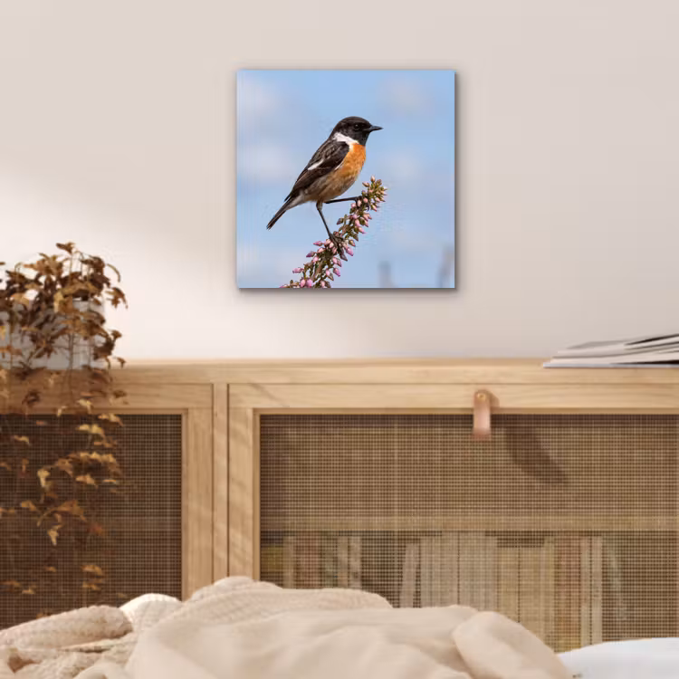 Roodborsttapuit - Heide - Paars - Natuur - Sfeervol aluminium wit klein -sfeer3