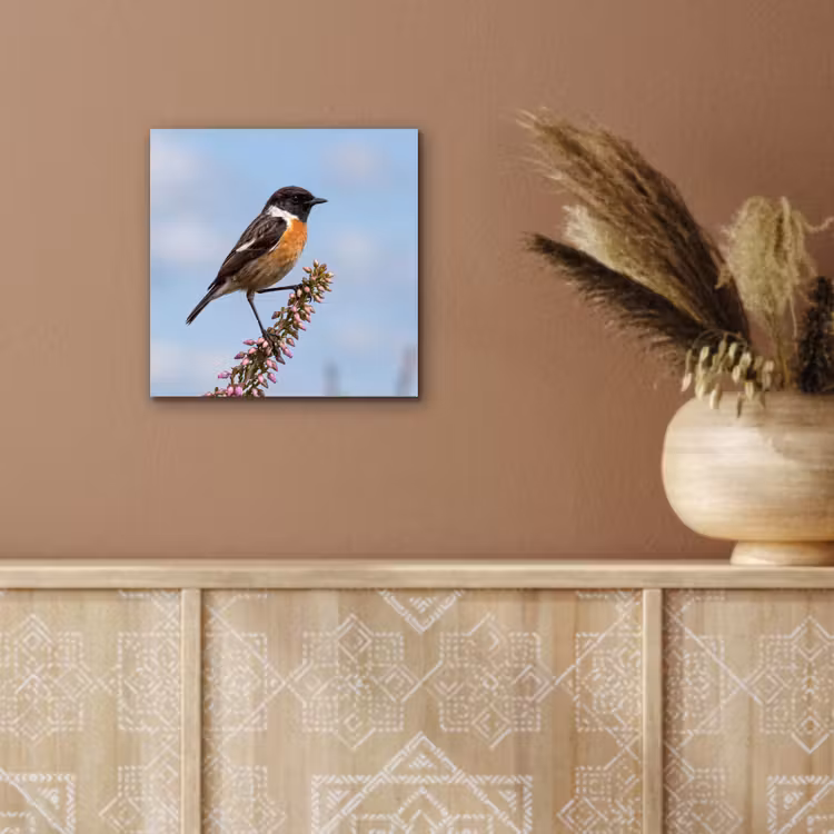 Roodborsttapuit - Heide - Paars - Natuur - Sfeervol aluminium wit klein -sfeer4