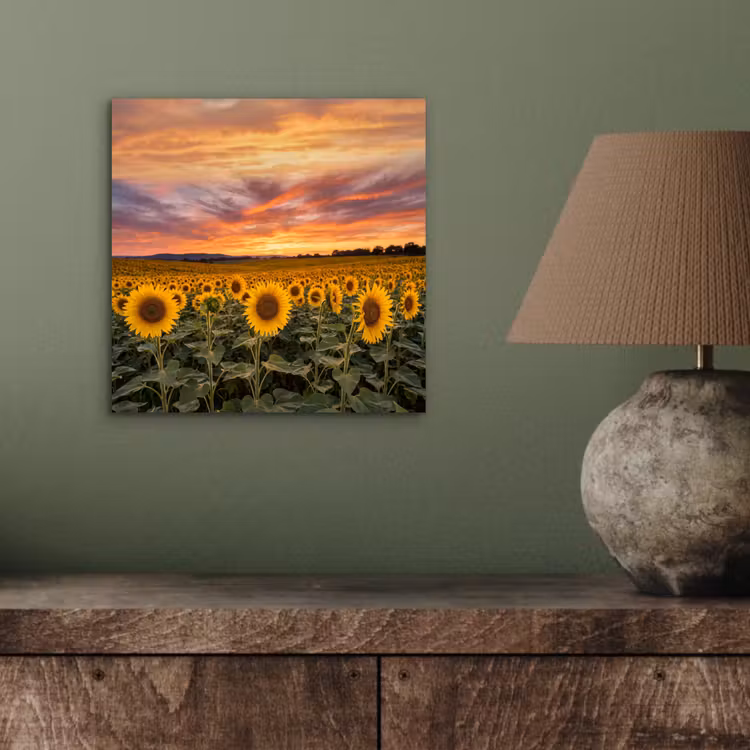 Zonnebloemen - Heuvellandschap - Geel aluminium wit klein -sfeer2