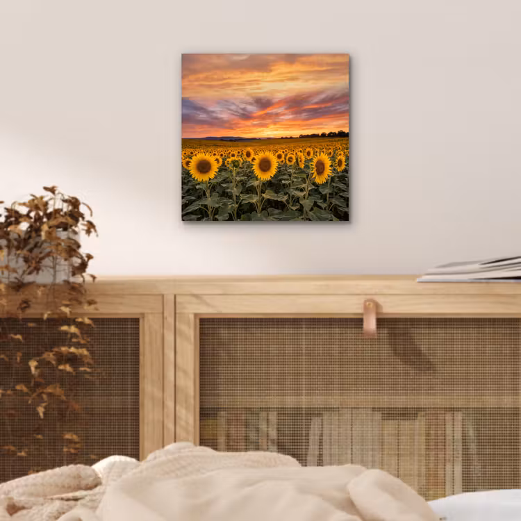 Zonnebloemen - Heuvellandschap - Geel aluminium wit klein -sfeer3