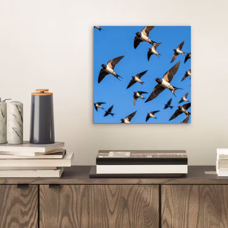 Zwaluwen - Vliegen - Blauw aluminium wit klein -sfeer1