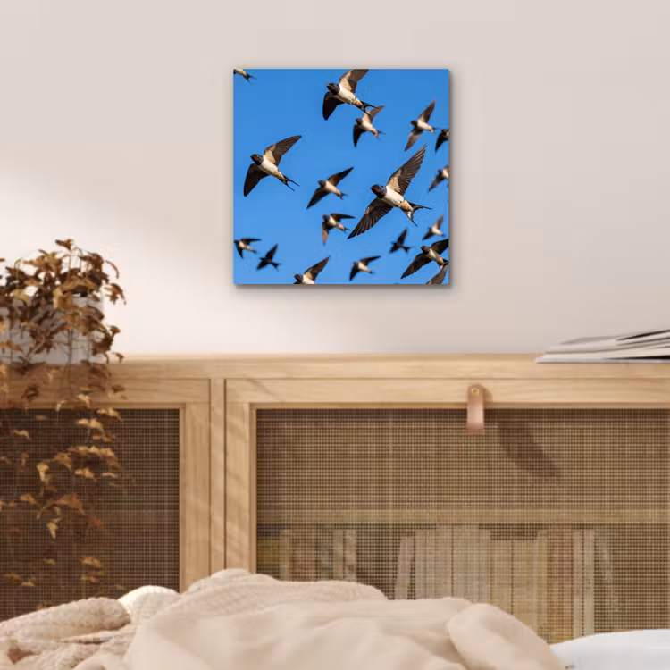 Zwaluwen - Vliegen - Blauw aluminium wit klein -sfeer3
