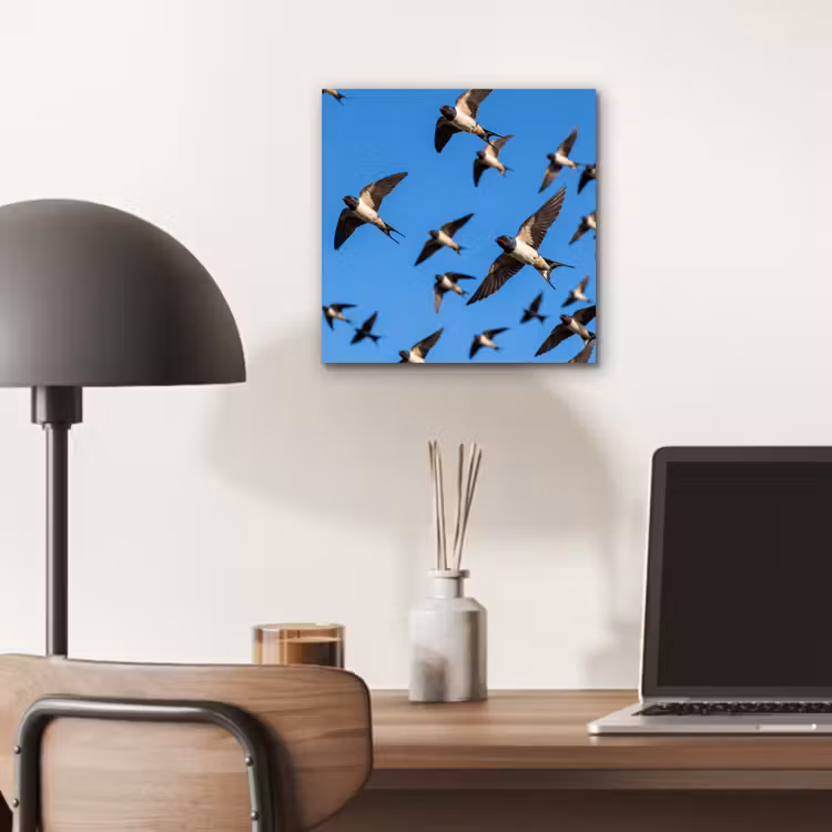 Zwaluwen - Vliegen - Blauw aluminium wit klein -sfeer5