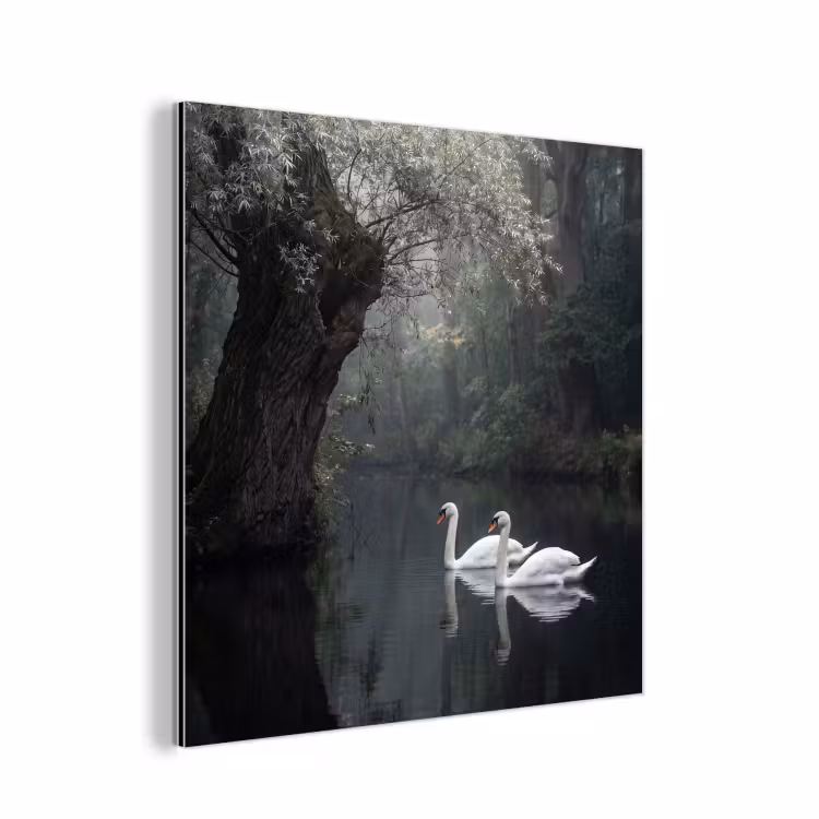 Zwanen - Rivier - Bos aluminium wit klein -3d