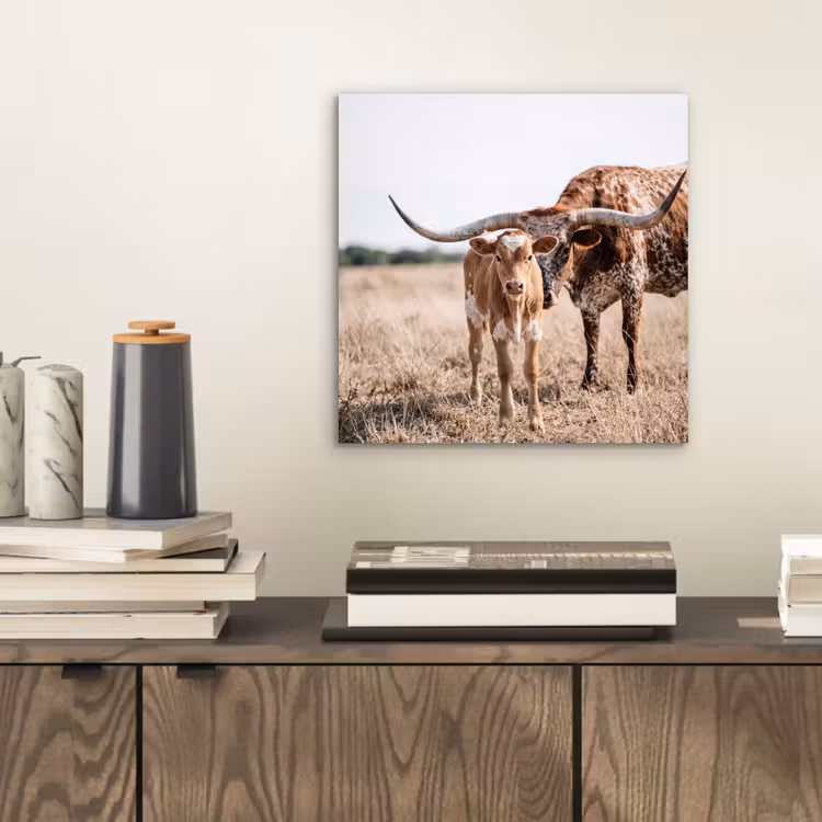 Texas Longhorn - Kalf - Weide - Dieren aluminium wit klein -sfeer1