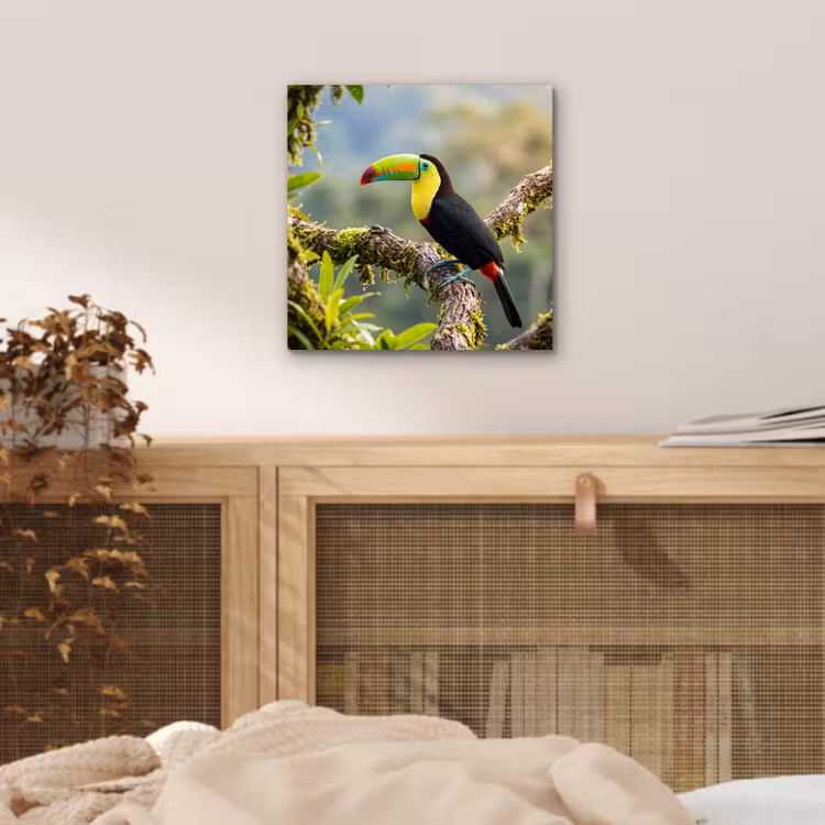 Toekan - Jungle - Natuur - Kleurrijk aluminium wit klein -sfeer3