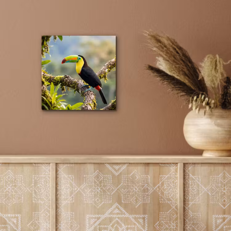 Toekan - Jungle - Natuur - Kleurrijk aluminium wit klein -sfeer4