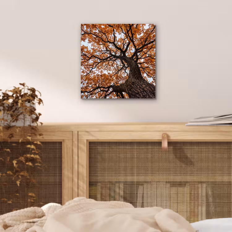 Boom - Bladerdak - Herfst - Oranje - Sfeervol aluminium wit klein -sfeer3