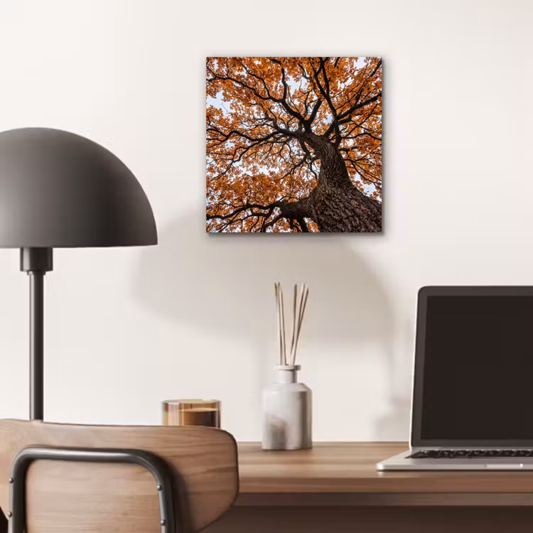 Boom - Bladerdak - Herfst - Oranje - Sfeervol aluminium wit klein -sfeer5