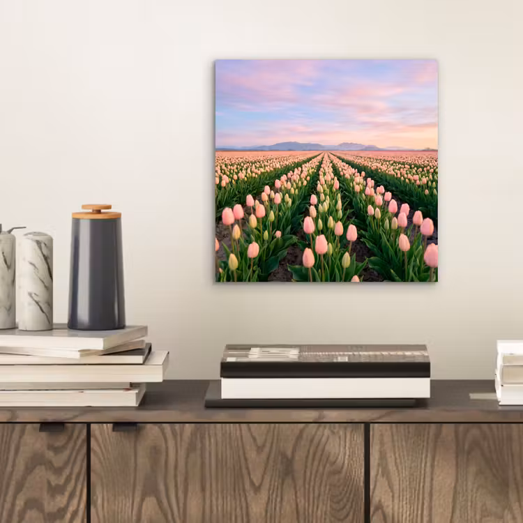 Tulpen - Landschap - Roze aluminium wit klein -sfeer1