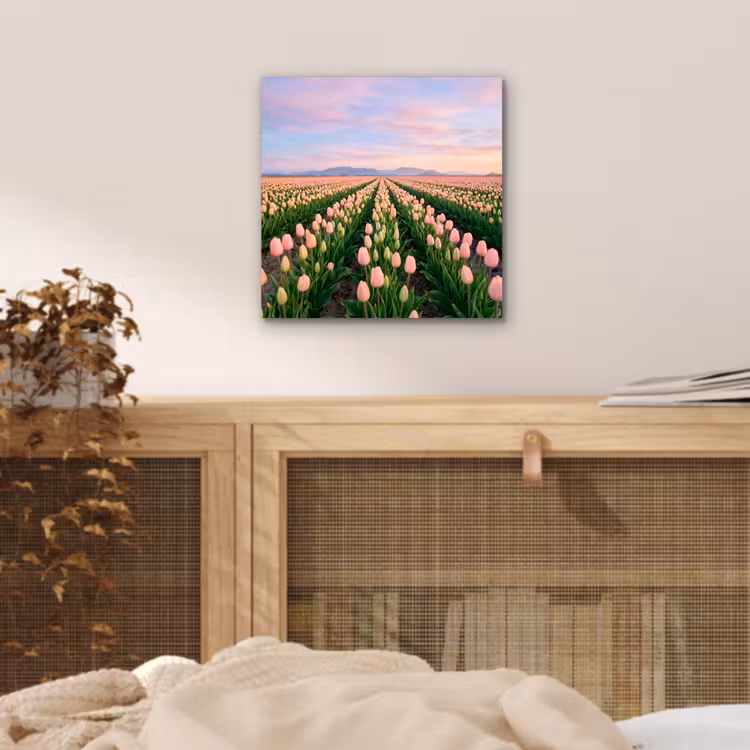 Tulpen - Landschap - Roze aluminium wit klein -sfeer3