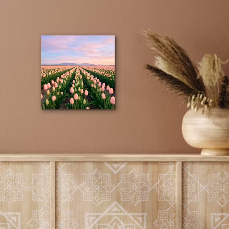 Tulpen - Landschap - Roze aluminium wit klein -sfeer4