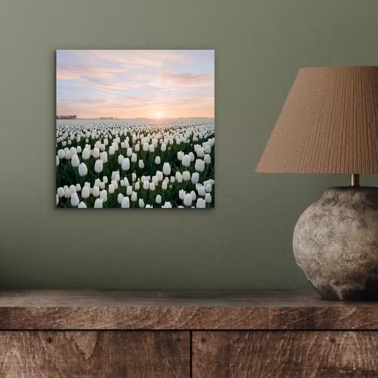 Tulpen - Landschap - Wit aluminium wit klein -sfeer2