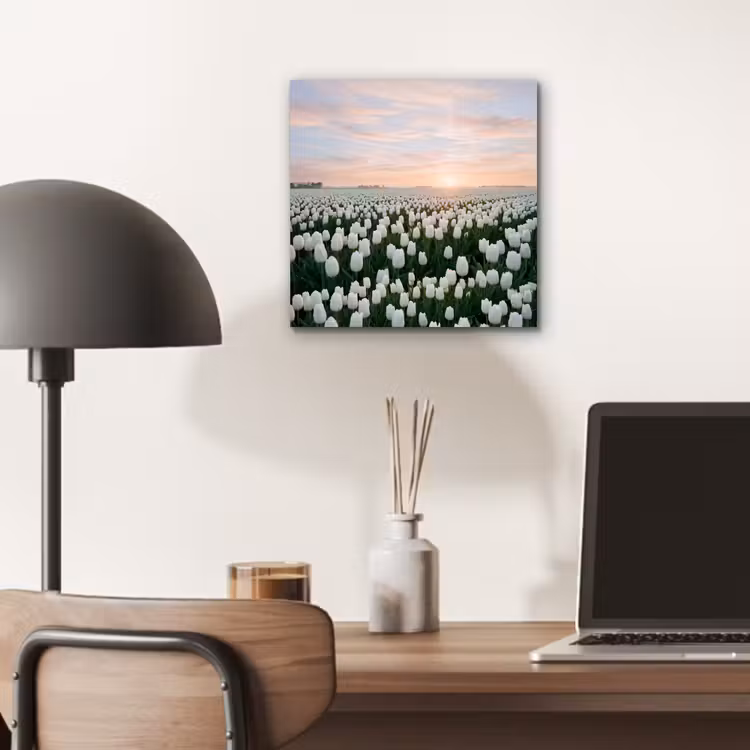 Tulpen - Landschap - Wit aluminium wit klein -sfeer5