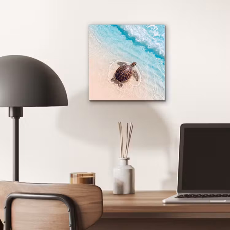 Schildpad - Helder water - Strand - Dieren - Natuur aluminium wit klein -sfeer5