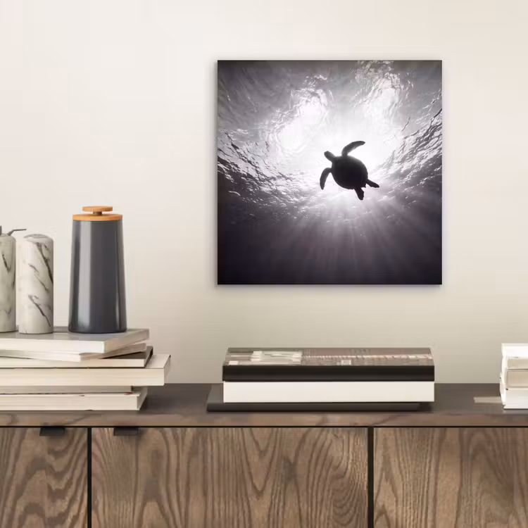 Schildpad - Onderwater - Lichtstralen - Oceaan - Zwart-wit aluminium wit klein -sfeer1