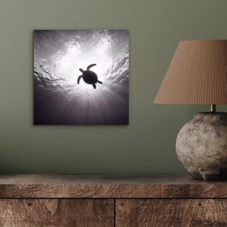 Schildpad - Onderwater - Lichtstralen - Oceaan - Zwart-wit aluminium wit klein -sfeer2