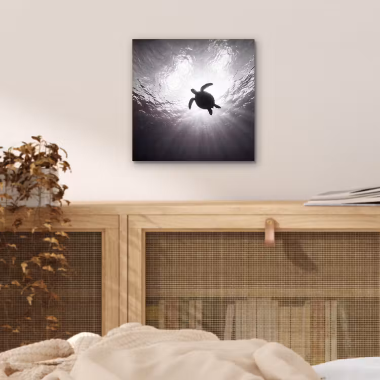 Schildpad - Onderwater - Lichtstralen - Oceaan - Zwart-wit aluminium wit klein -sfeer3