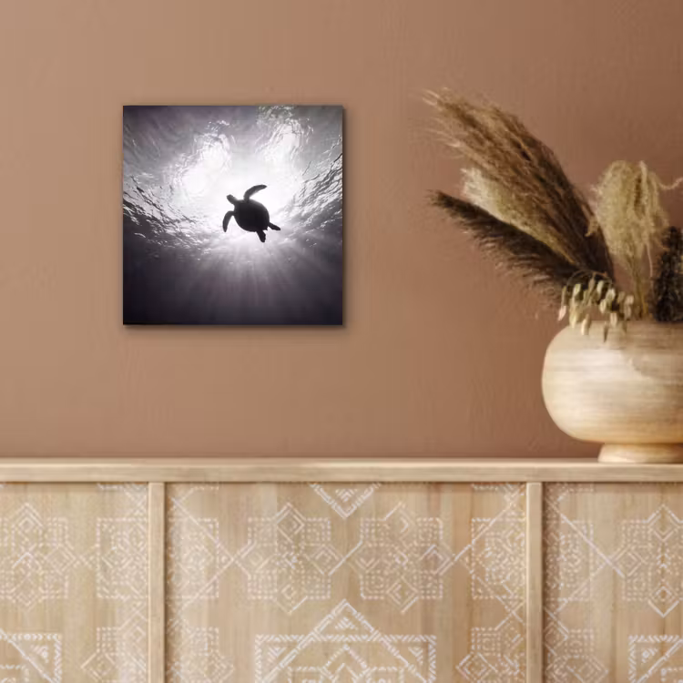 Schildpad - Onderwater - Lichtstralen - Oceaan - Zwart-wit aluminium wit klein -sfeer4