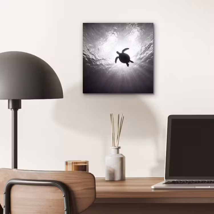 Schildpad - Onderwater - Lichtstralen - Oceaan - Zwart-wit aluminium wit klein -sfeer5