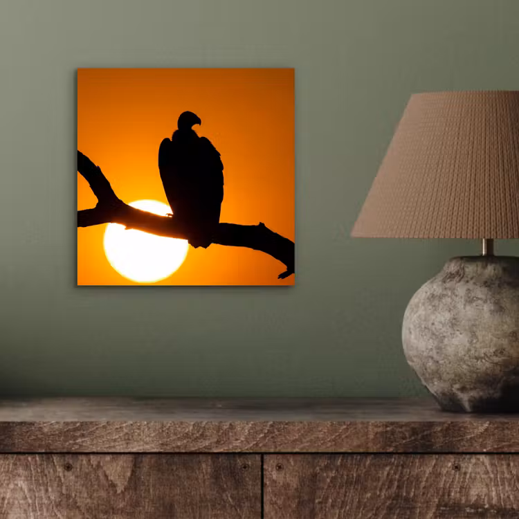 Gier - Tak - Zon - Oranje aluminium wit klein -sfeer2