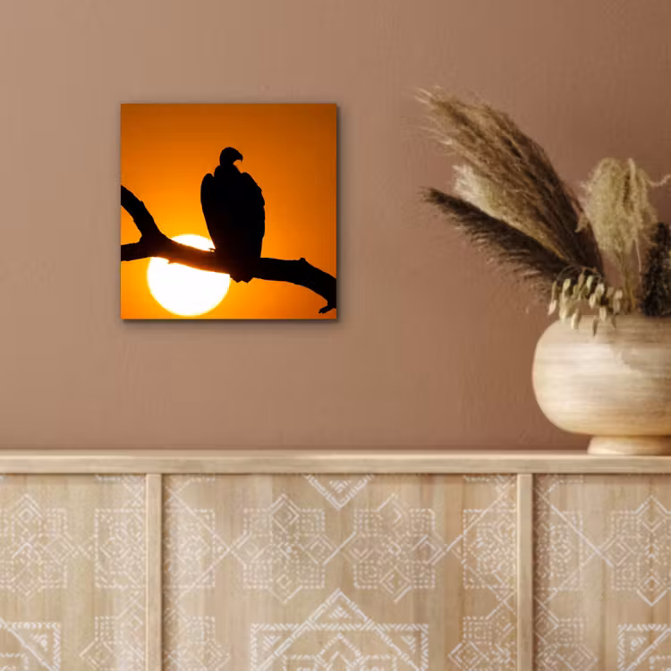 Gier - Tak - Zon - Oranje aluminium wit klein -sfeer4