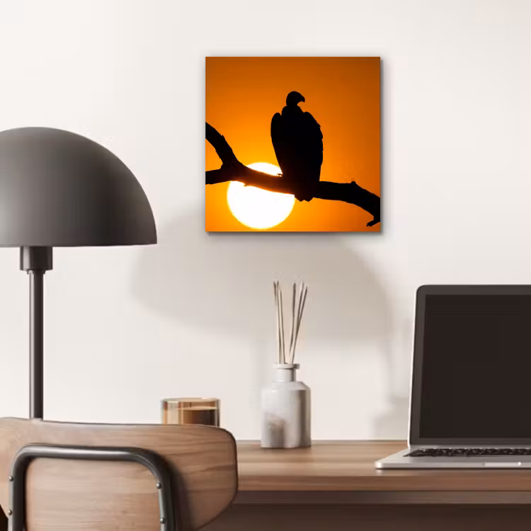 Gier - Tak - Zon - Oranje aluminium wit klein -sfeer5