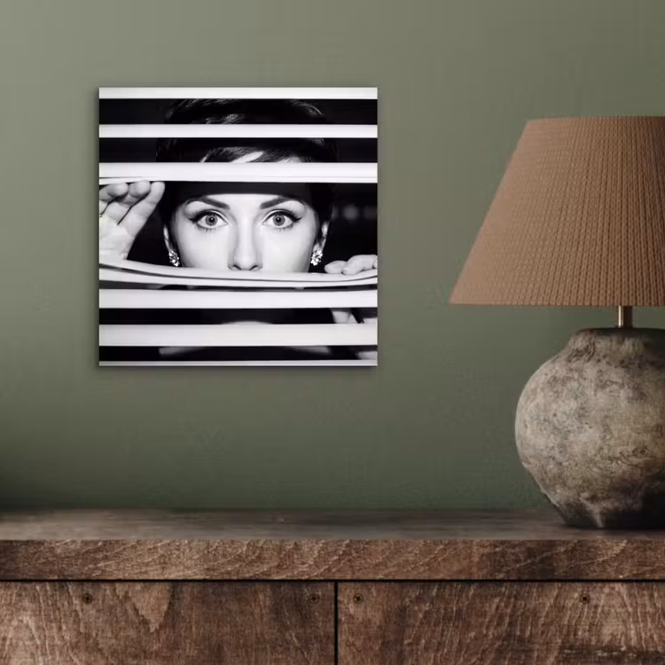 Vrouw - Jaloezieën - Portret - Zwart-wit aluminium wit klein -sfeer2