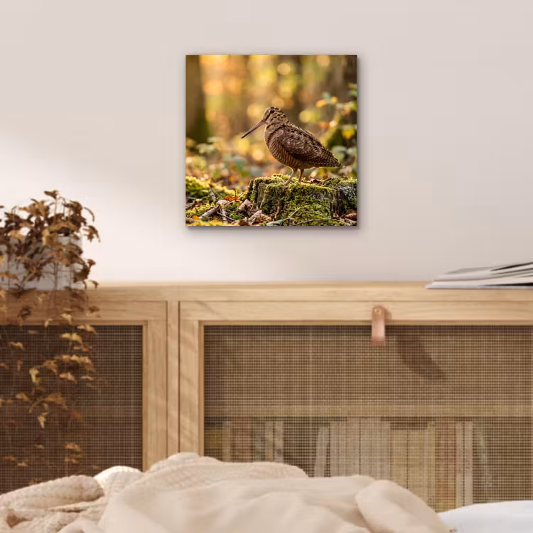 Houtsnip - Bos - Bladeren - Herfst - Gecamoufleerd aluminium wit klein -sfeer3