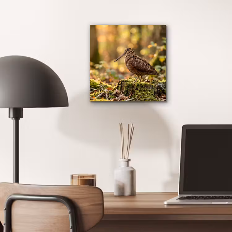 Houtsnip - Bos - Bladeren - Herfst - Gecamoufleerd aluminium wit klein -sfeer5