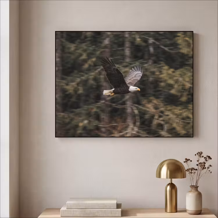 Zeearend - Vliegen - Bos - Natuur Textielframe zwart klein -sfeer2