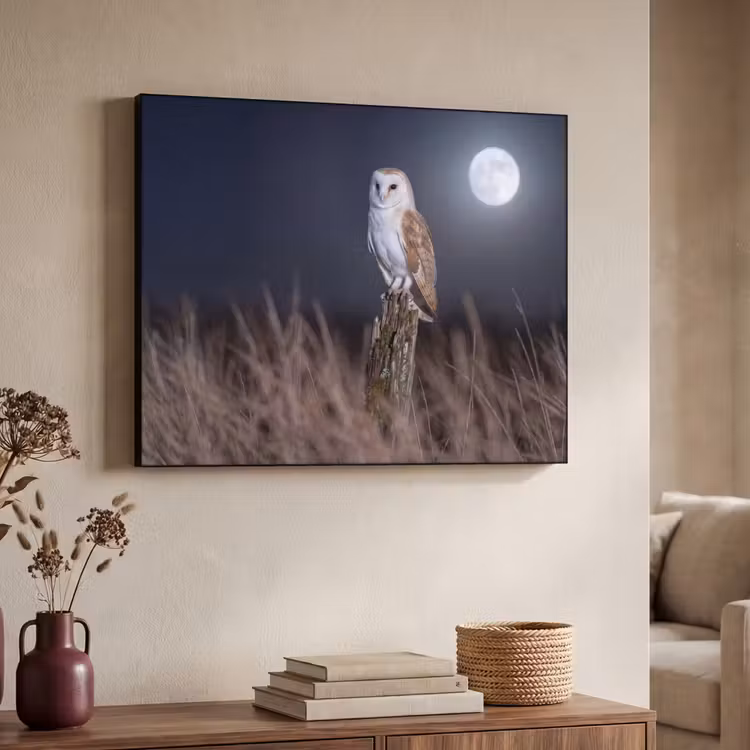 Kerkuil - Maan - Nacht Textielframe zwart klein -sfeer3