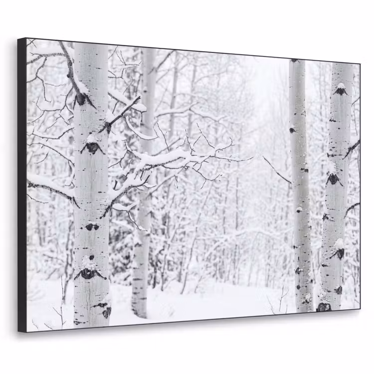 Berkenbomen - Sneeuw - Winter - Bos - Wit Textielframe zwart klein -3d