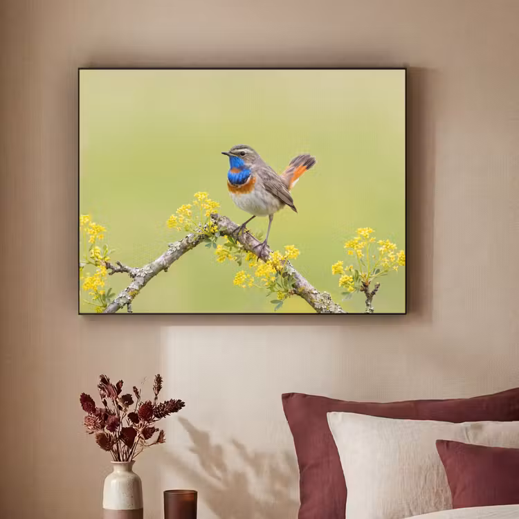 Vogel - Tak - Natuur - Kleurrijk Textielframe zwart klein -sfeer1