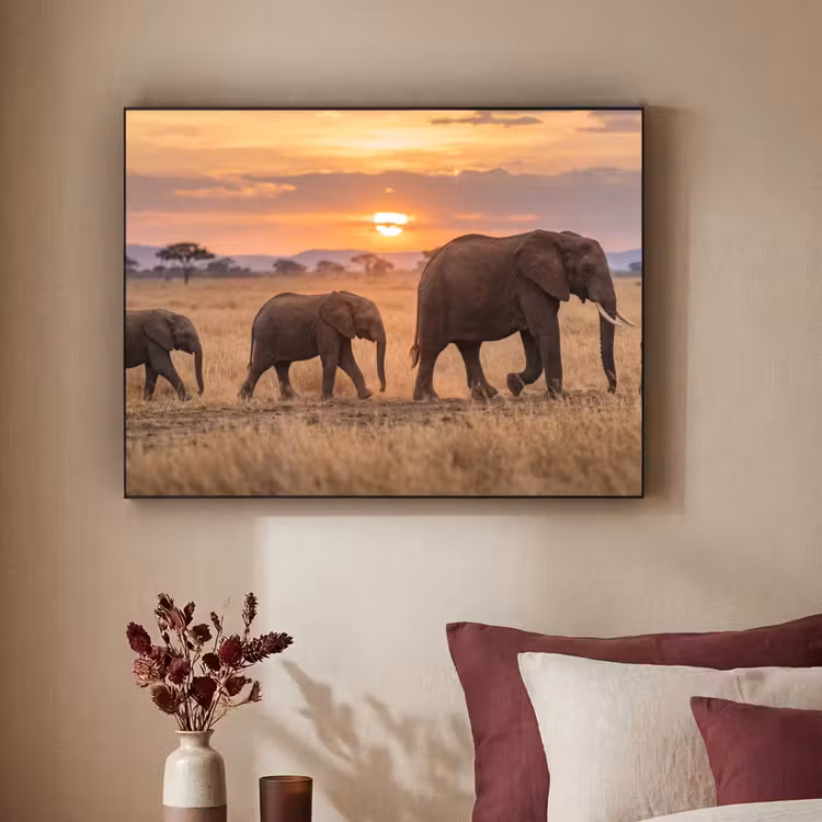 Olifanten - Savanne - Zonsondergang - Afrika - Warm Textielframe zwart klein -sfeer1