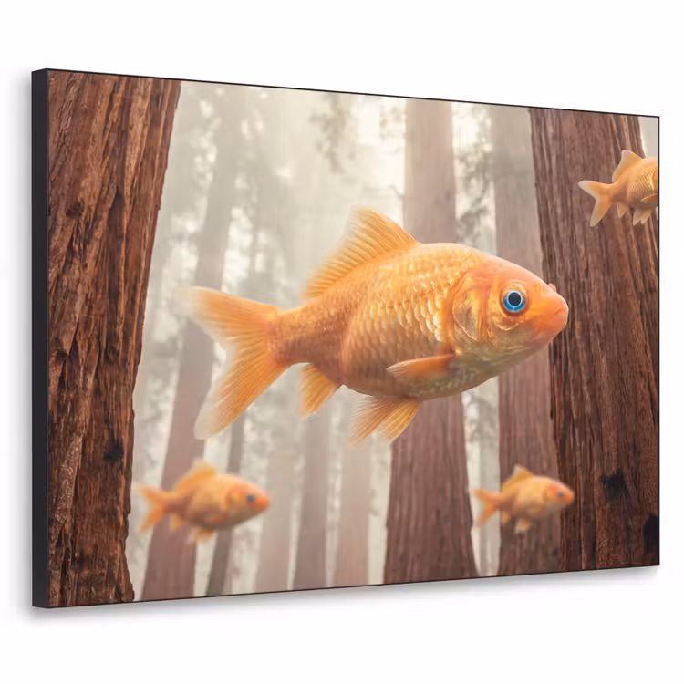 Art Frame - Fish - Forest - Fantasy - Vis - Bos - Fantasie Textielframe zwart klein